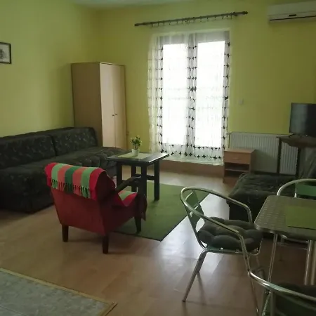 Hadzi Сокобаня