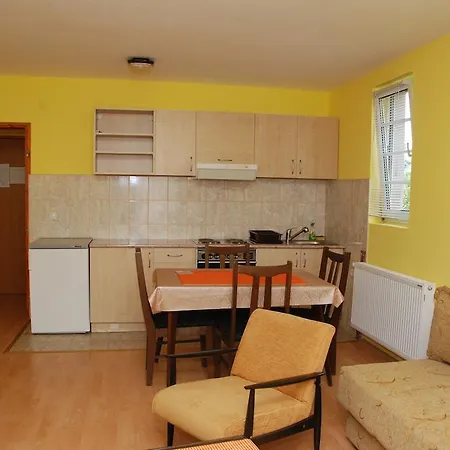 Apartament Hadzi Sokobanja