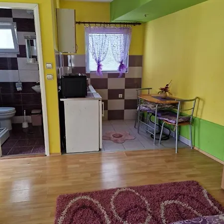 Hadzi Апартаменты *