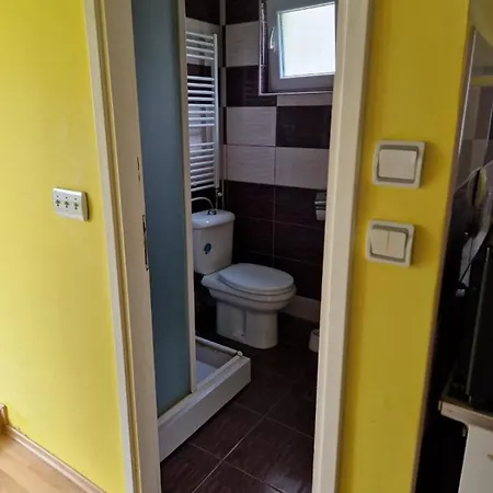 Апартаменты Hadzi Сокобаня