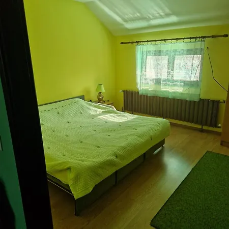 Hadzi Апартаменты Сокобаня