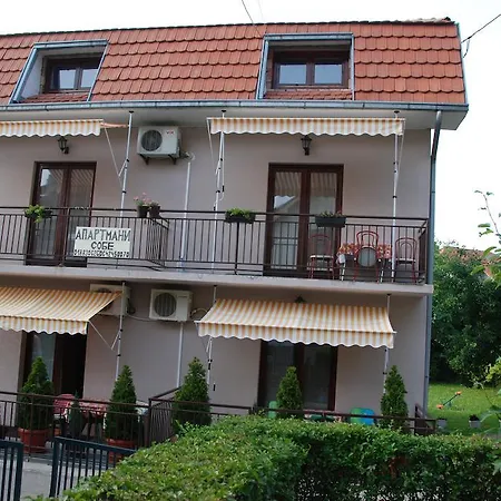 Hadzi Сокобаня