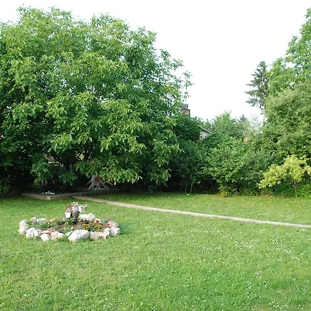 Hadzi Апартаменты *