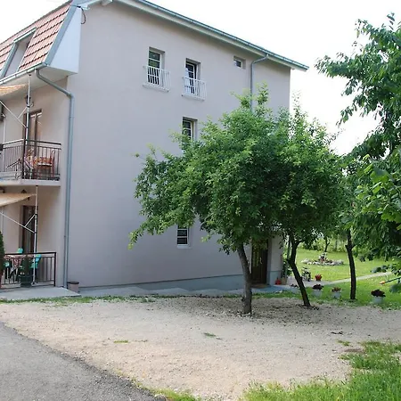 Hadzi * Сокобаня