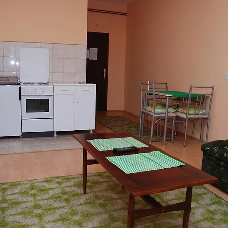 Hadzi Apartament Sokobanja
