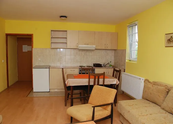 Διαμέρισμα Hadzi Soko Banja