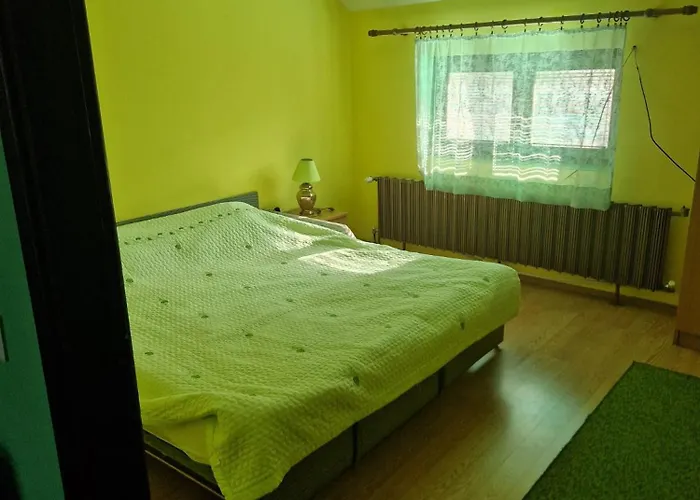 Hadzi Διαμέρισμα Soko Banja